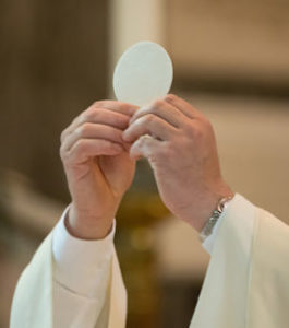 The holy bread of the Communion during the Mass ** Note: Visible grain at 100%, best at smaller sizes